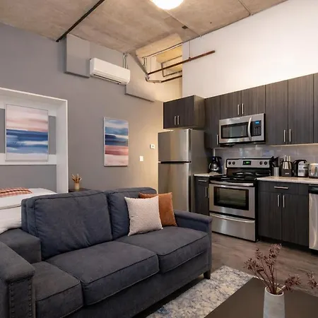 Elegant South Loop With Optional Parking And Gym Access Walk To Mccormick Place & Field Museum * Chicago