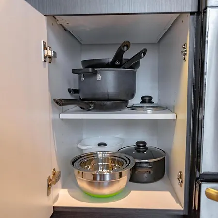 Stylish 2br With Optional Parking & Gym Access Near Lakefront, Shedd Aquarium And Mccormick Center Chicago