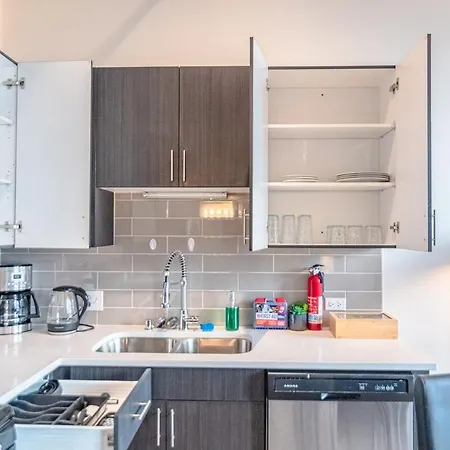 2br South Loop Location With Optional Parking & Gym Access Near Mccormick Place, Shedd Aquarium & Navy Pier Apartment Chicago