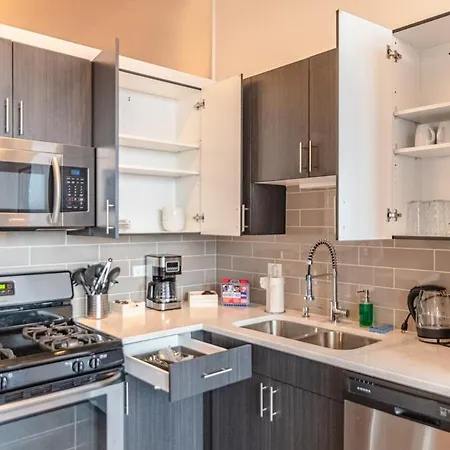 South Loop 3br Near Lakefront Trail, Field Museum & Adler Planetarium Apartment *