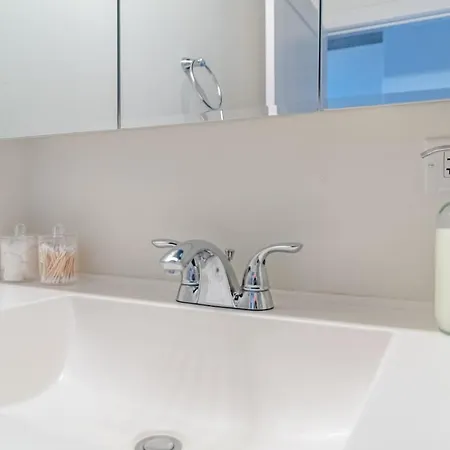 South Loop 3br Near Lakefront Trail, Field Museum & Adler Planetarium Apartment *