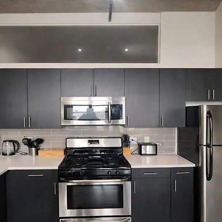 Spacious South Loop 2br Near Mccormick Place, Soldier Field & Downtown Apartment Chicago