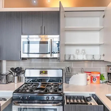 2br South Loop Location With Optional Parking & Gym Access Near Mccormick Place, Shedd Aquarium & Navy Pier Apartment