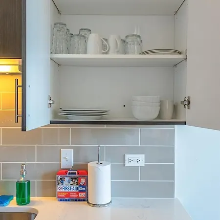Apartment Spacious 2br South Loop With Skyline View, Optional Parking And Gym Access Near Mccormick Place And Soldier Field
