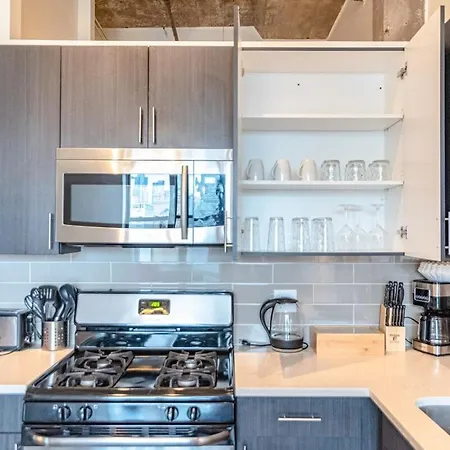 Luxury Cozy 2br With Optional Parking And Gym Access Near Mccormick Place, Lakefront And Soldier Field Apartment Chicago