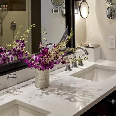 Hotel Loews 4*