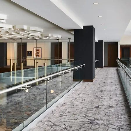 Loews