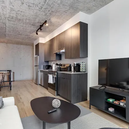 South Loop Rooftop With In And Out Parking 2 Apartment