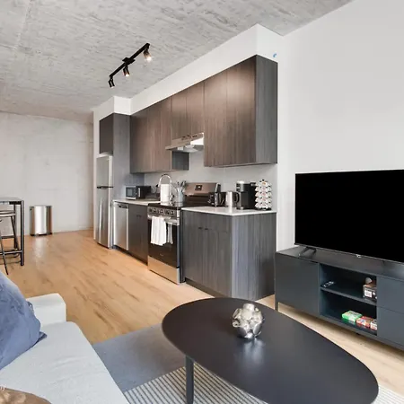 Apartment South Loop Rooftop With In & Out Parking 1