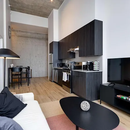 South Loop Rooftop With In And Out Parking 3 Apartment Chicago