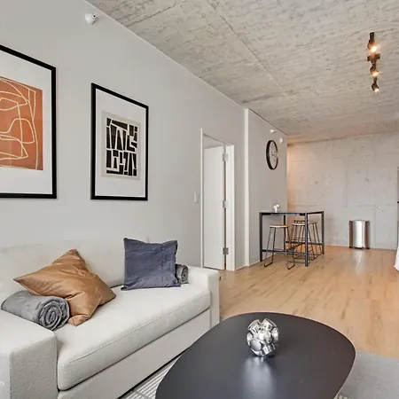 South Loop Rooftop With In & Out Parking 1 Apartment Chicago