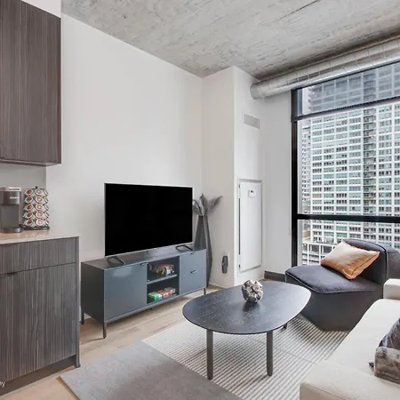 South Loop Rooftop With In & Out Parking 1 *