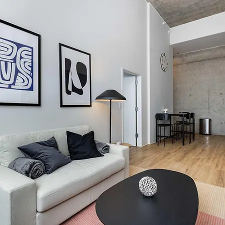 South Loop Rooftop With In And Out Parking 3 Apartment *