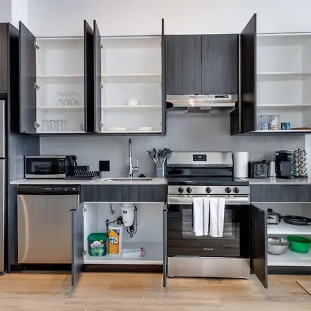 South Loop Rooftop With In And Out Parking 3 * Chicago