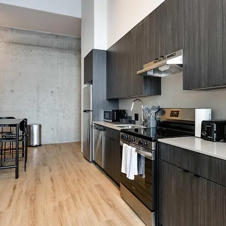 Apartment South Loop Rooftop With In And Out Parking 3