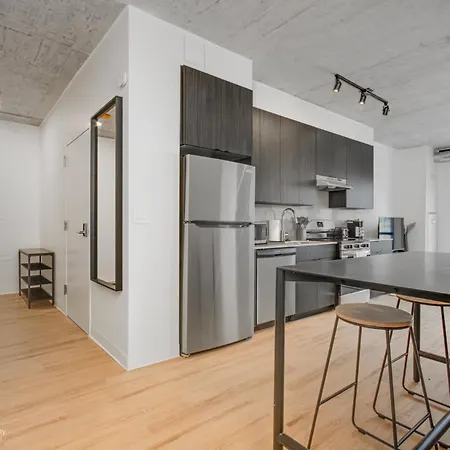 Apartment South Loop Rooftop With In & Out Parking 1