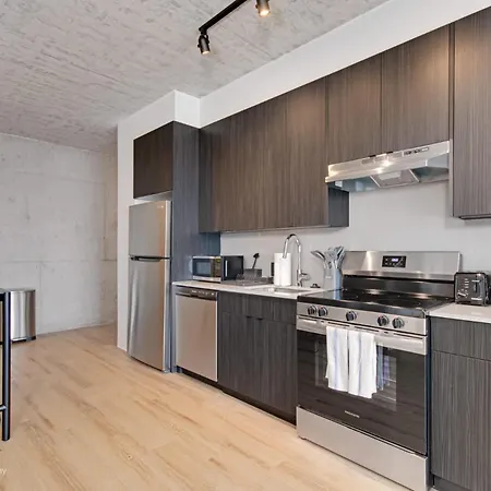 Apartment South Loop Rooftop With In & Out Parking 1 Chicago