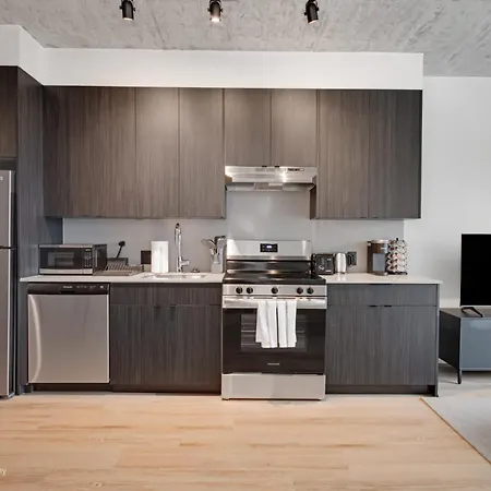 South Loop Rooftop With In & Out Parking 1 Apartment