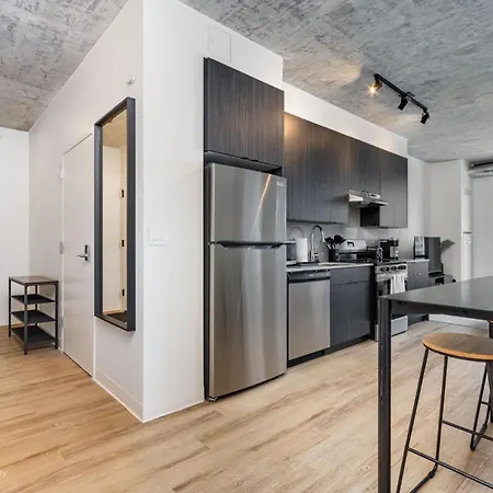 South Loop Rooftop With In And Out Parking 2 Apartment Chicago