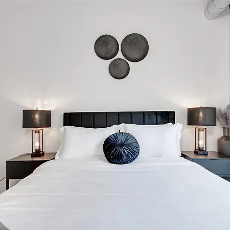South Loop Rooftop With In & Out Parking 1 *