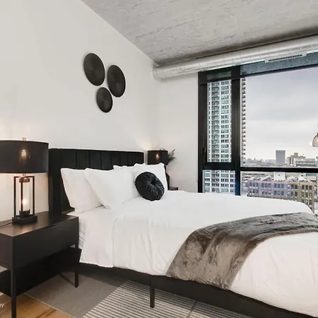 Apartment South Loop Rooftop With In & Out Parking 1
