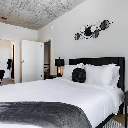 South Loop Rooftop With In And Out Parking 2 Apartment *