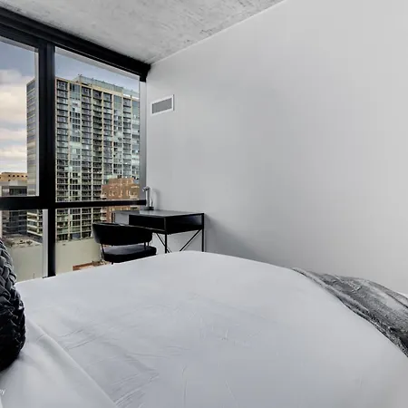 Apartment South Loop Rooftop With In & Out Parking 1 Chicago