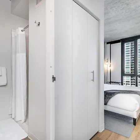 South Loop Rooftop With In & Out Parking 1 Apartment