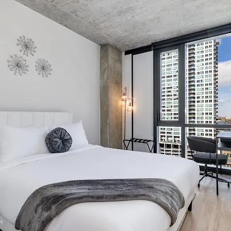 South Loop Rooftop With In & Out Parking 1 Apartment Chicago
