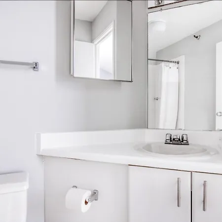 Apartment Streeterville W Gym Pool Nr Navy Pier Chi-406