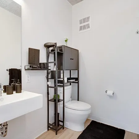 South Loop Rooftop With In & Out Parking 1 *