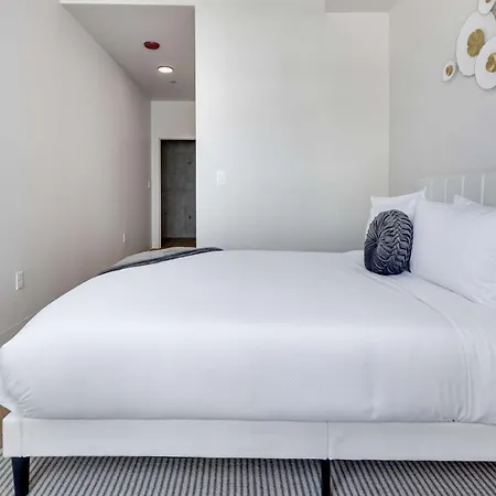 South Loop Rooftop With In And Out Parking 3 Apartment *