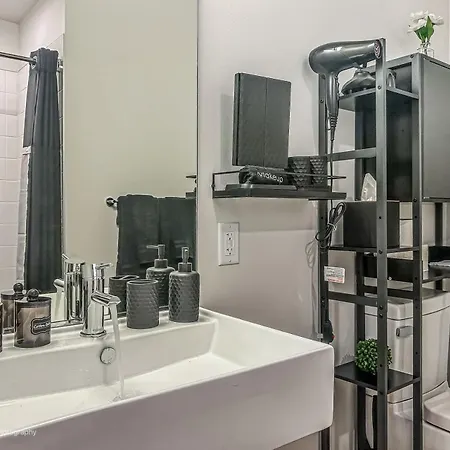 South Loop Rooftop With In & Out Parking 1 Apartment *