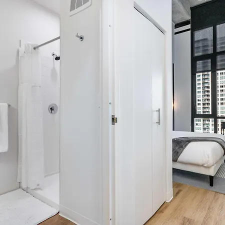 South Loop Rooftop With In And Out Parking 3 Apartment