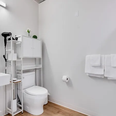 South Loop Rooftop With In & Out Parking 1 *
