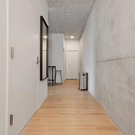 South Loop Rooftop With In & Out Parking 1 *