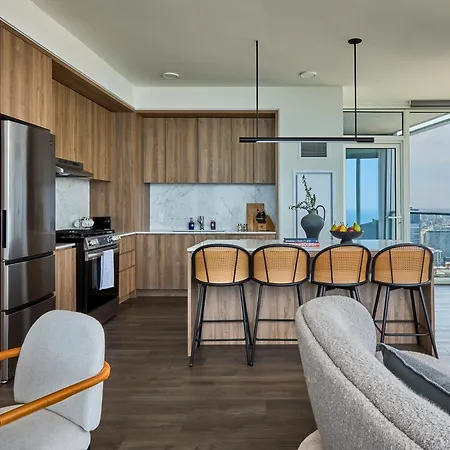 Lux Apts With Views And Amenities * Chicago