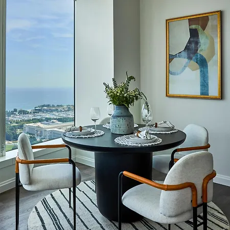 Lux Apts With Views And Amenities Apartment Chicago
