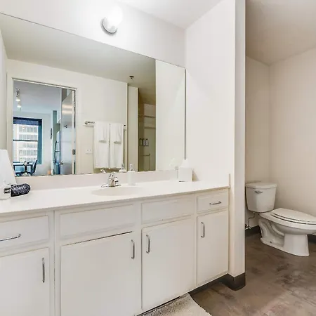 Apartment Downtown With Free In & Out Parking 3 Chicago