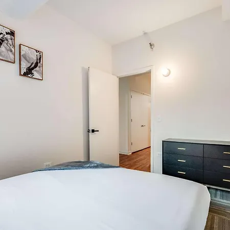 Downtown With Free In & Out Parking 3 Apartment Chicago