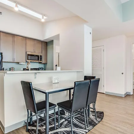 Apartment Downtown With Free In & Out Parking 6 Chicago