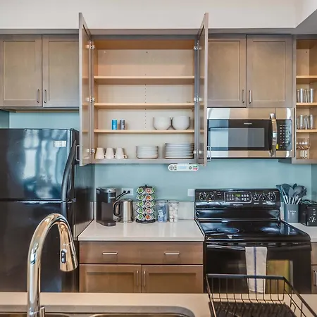 Downtown With Free In & Out Parking 6 Apartment Chicago