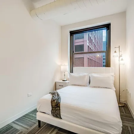 Apartment Downtown With Free In & Out Parking 3 Chicago