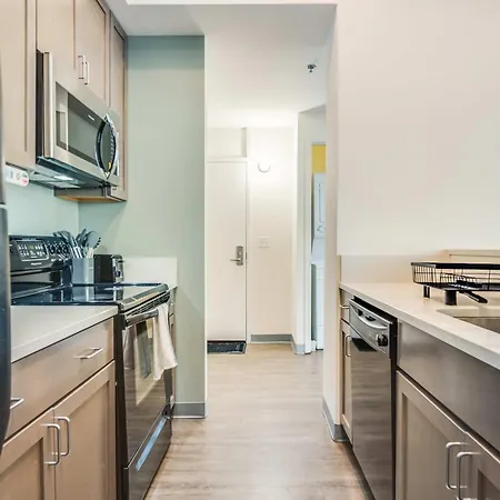 Downtown With Free In & Out Parking 6 Apartment Chicago