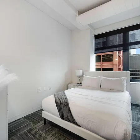 Downtown With Free In & Out Parking 5 * Chicago