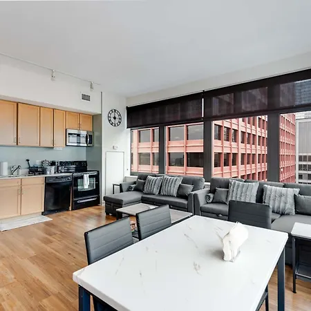 Apartment Downtown With Free In & Out Parking 5 Chicago