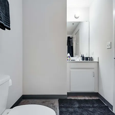 Downtown With Free In & Out Parking 4 Apartment Chicago