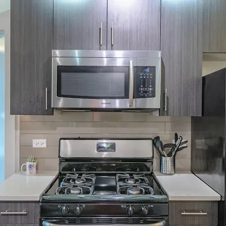 Spacious 3br Smoke Ok Near Mccormick Place *