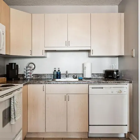 Mich Ave Downtown Grant Park, Museums 2bd-2ba #5