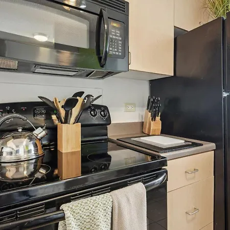 Downtown Views, Mich Ave, Museums 2bd- 2ba #10 Holiday home *
